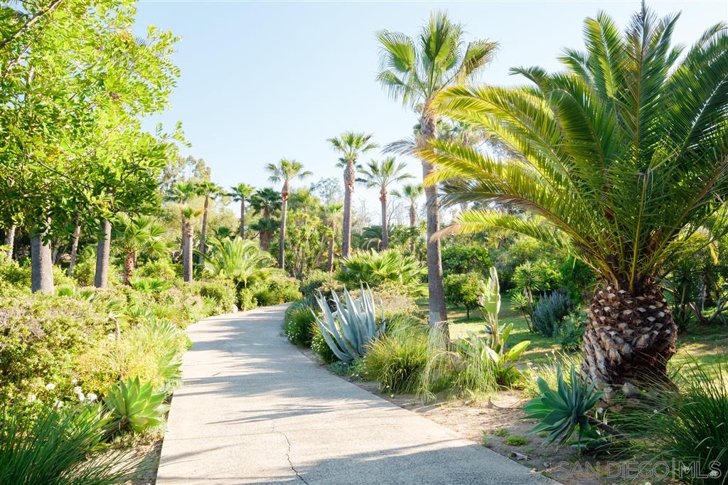 7060 Rancho Cielo Rancho Santa Fe, CA 92067 - Photo 16 of 25 a view of a garden with plants
