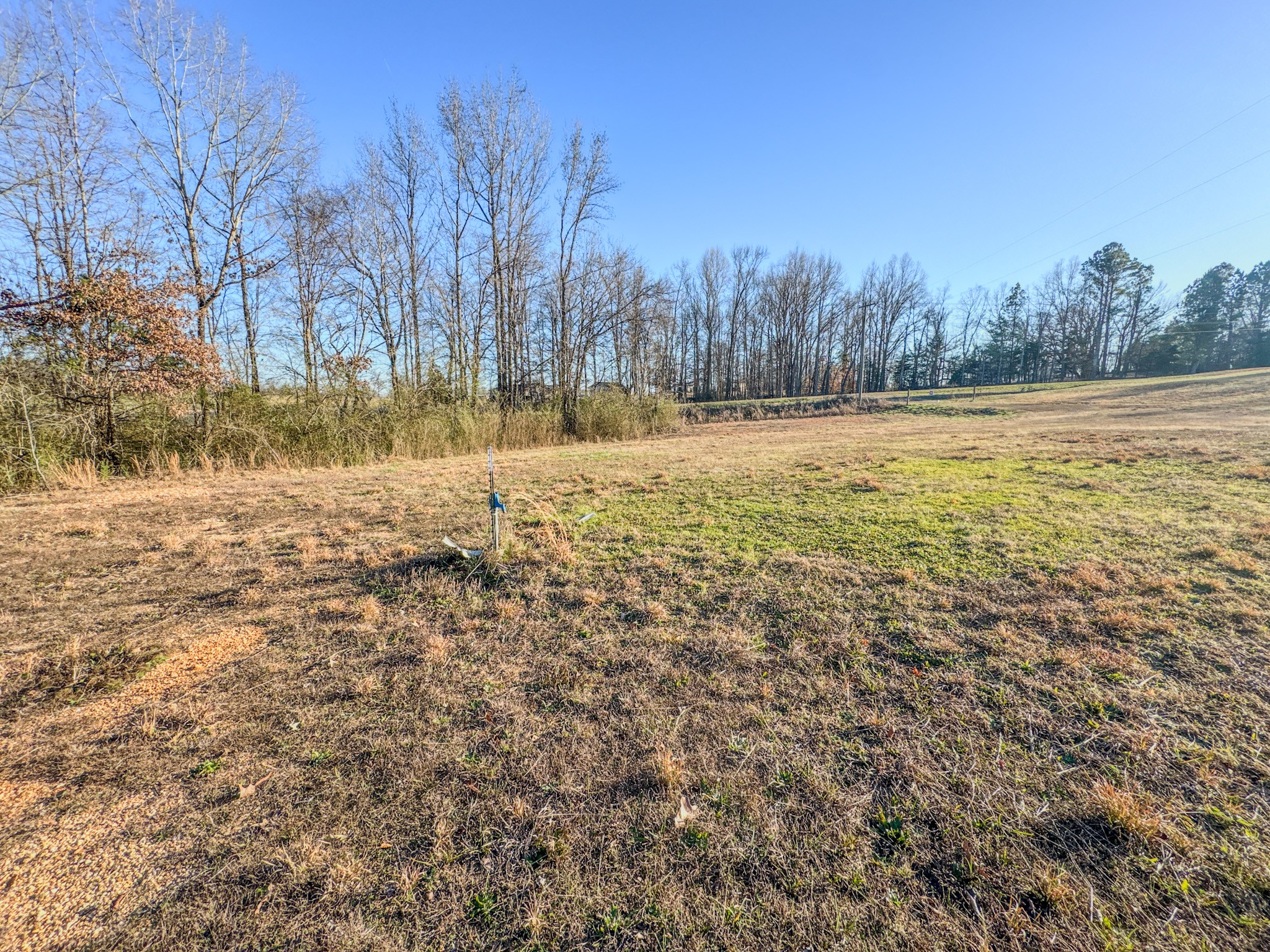 0 Hwy 100 West Decaturville Tn 38329 Decaturville, TN 38329 - Photo 14 of 23 a view of open space with trees
