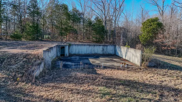 a view of a backyard with potted plants and large trees