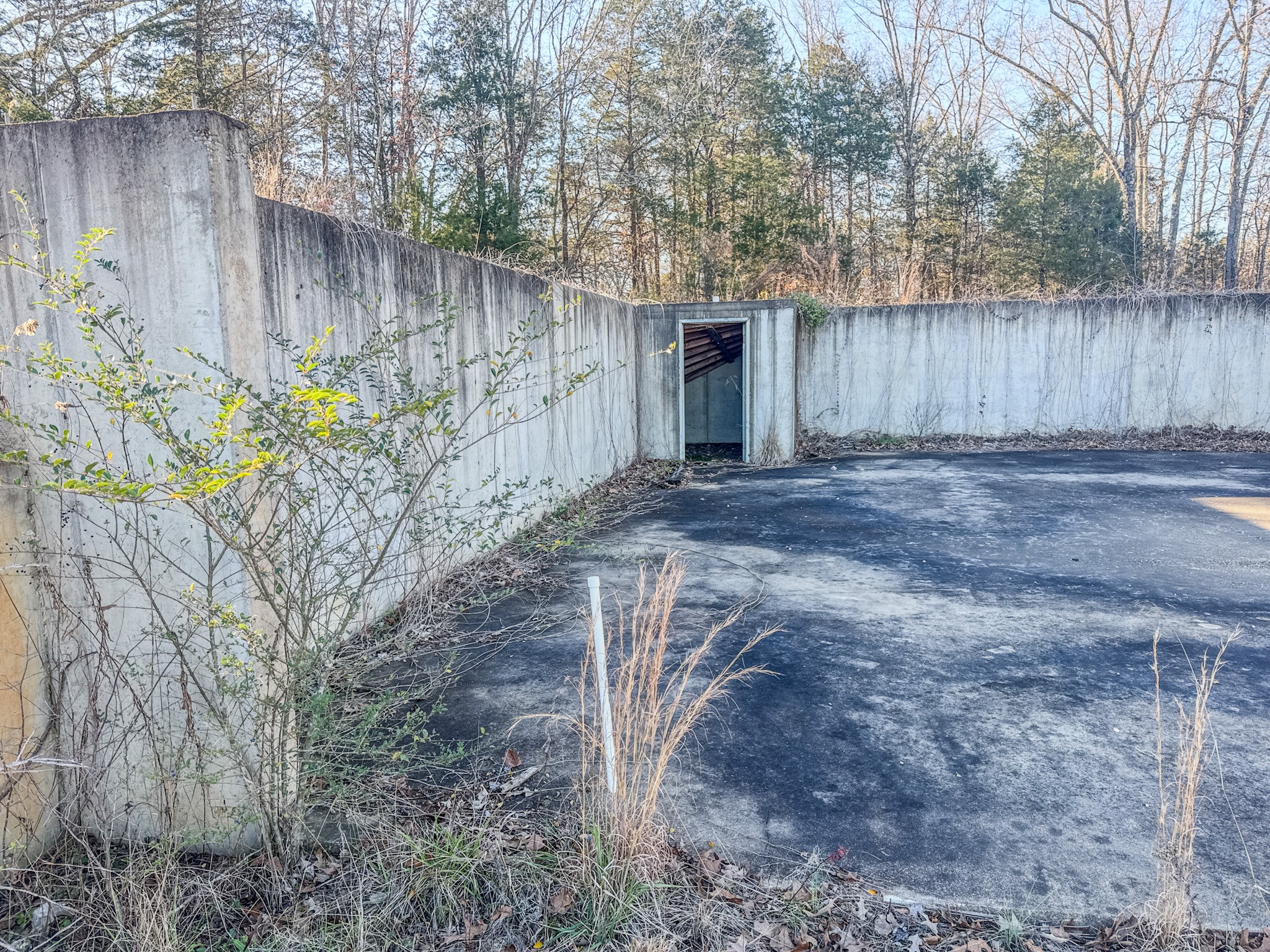 0 Hwy 100 West Decaturville Tn 38329 Decaturville, TN 38329 - Photo 18 of 23 a view of a backyard with wooden fence