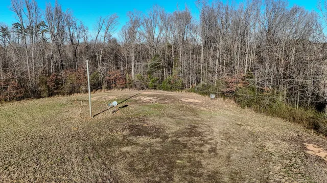 a view of a backyard with trees