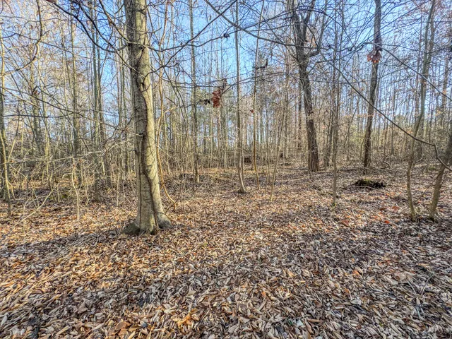 a view of outdoor space with green space