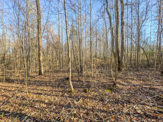 $149,000 | 0 Hwy 100 West Decaturville Tn 38329, Decaturville, TN 38329