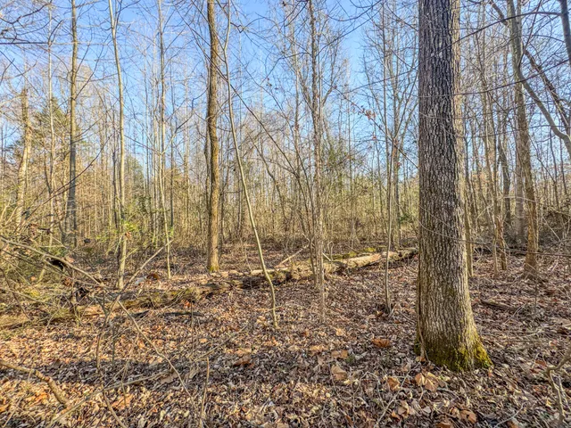 $149,000 | 0 Hwy 100 West Decaturville Tn 38329, Decaturville, TN 38329