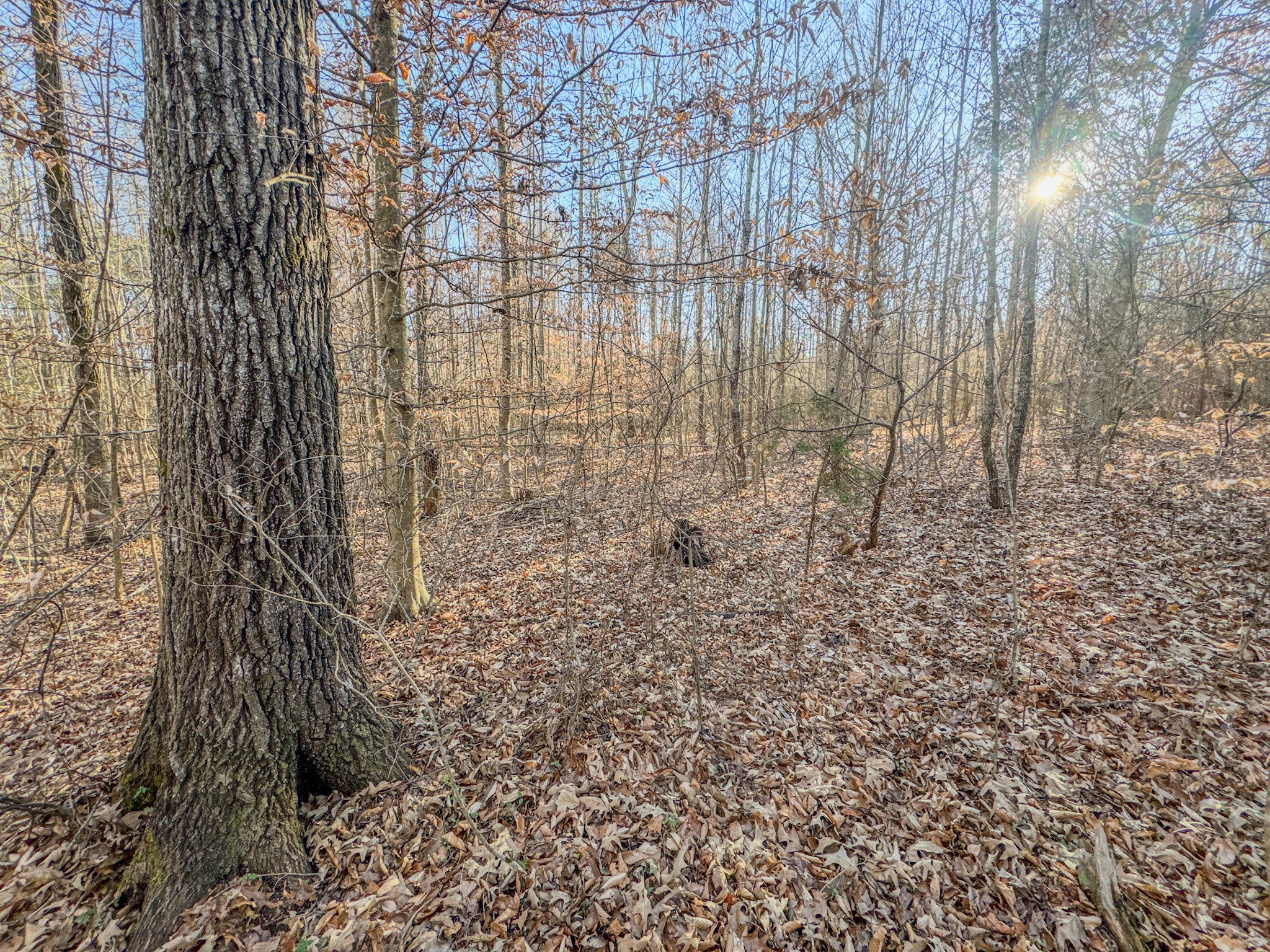 0 Hwy 100 West Decaturville Tn 38329 Decaturville, TN 38329 - Photo 3 of 23 a bathroom with a shower