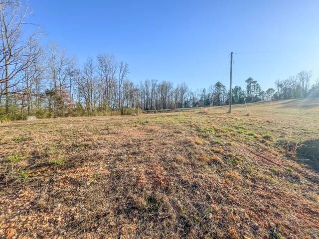 a view of a yard with trees