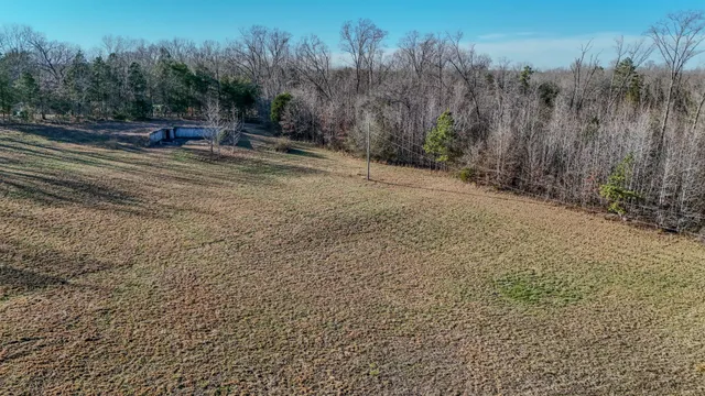 a view of a field with trees in the background