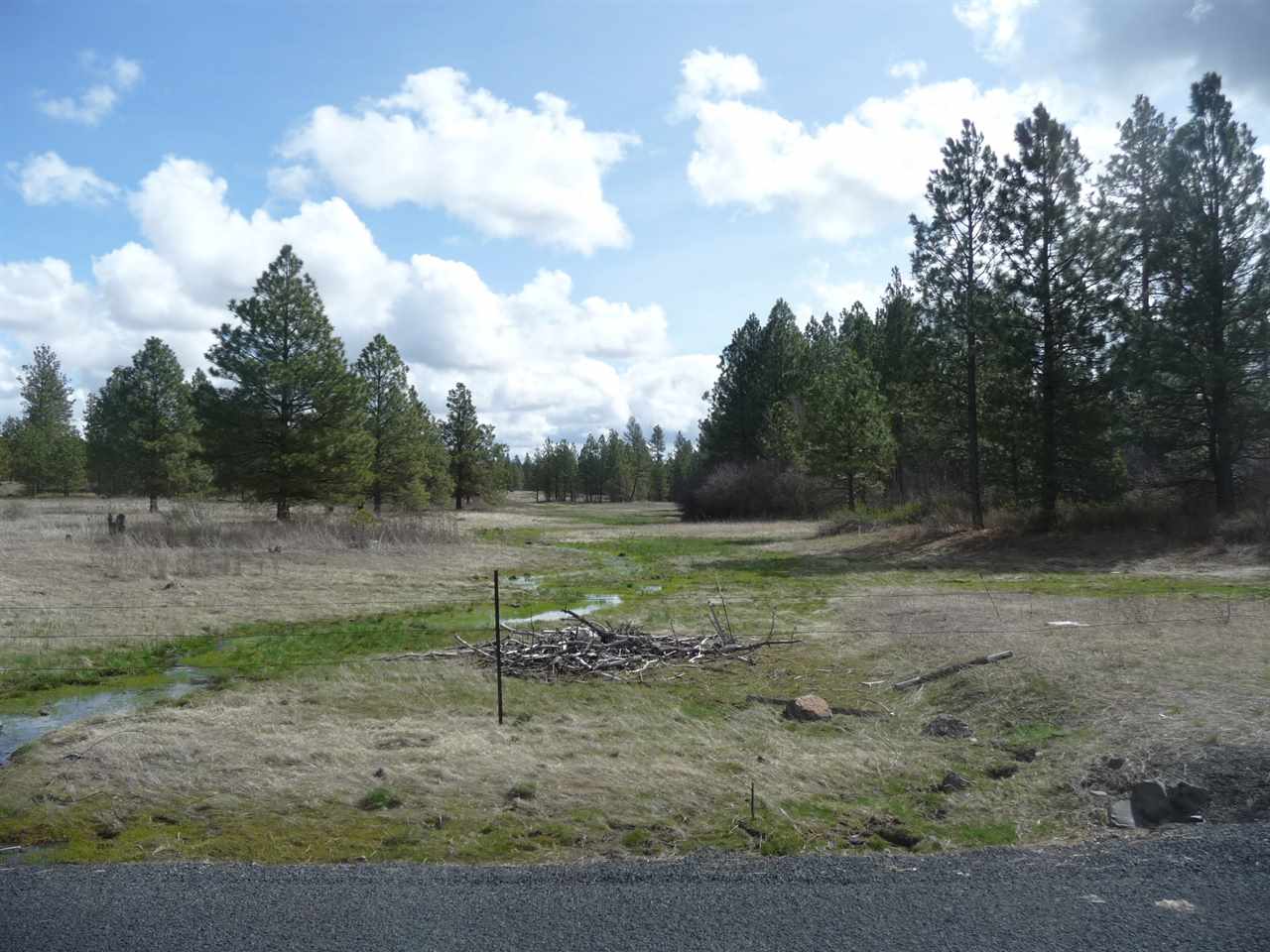 0 Rock Lake Road Cheney, WA 99004 - Photo 3 of 10