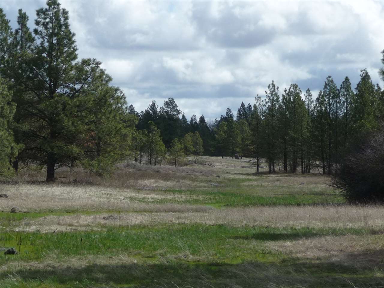 0 Rock Lake Road Cheney, WA 99004 - Photo 8 of 10