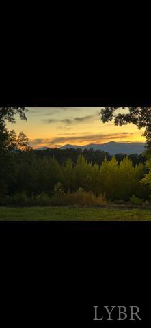 0 West Perch Road Monroe, VA 24574 - Photo 6 of 6 Gallery Image 6