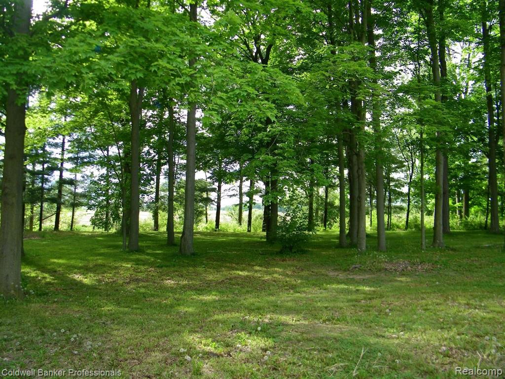 1830 Boyne Road Marlette, MI 48453 - Photo 5 of 25