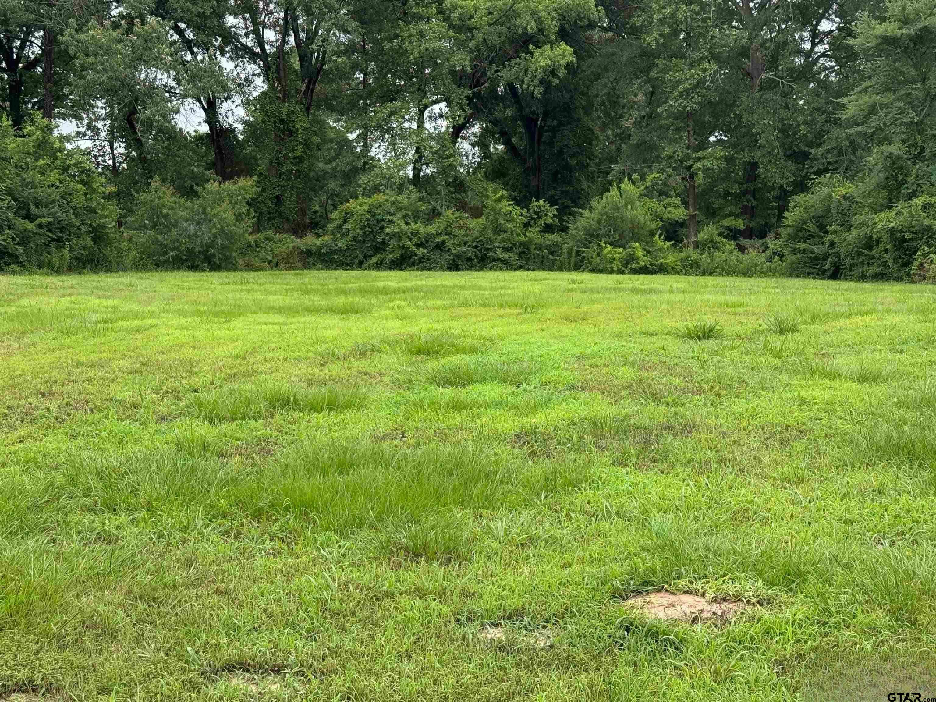 495 Fir Road Gladewater, TX 75647 - Photo 2 of 4