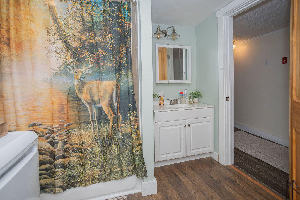 240 Lake Road Wilton, ME 04294 - Photo 10 of 48 sandyriverrealty-8