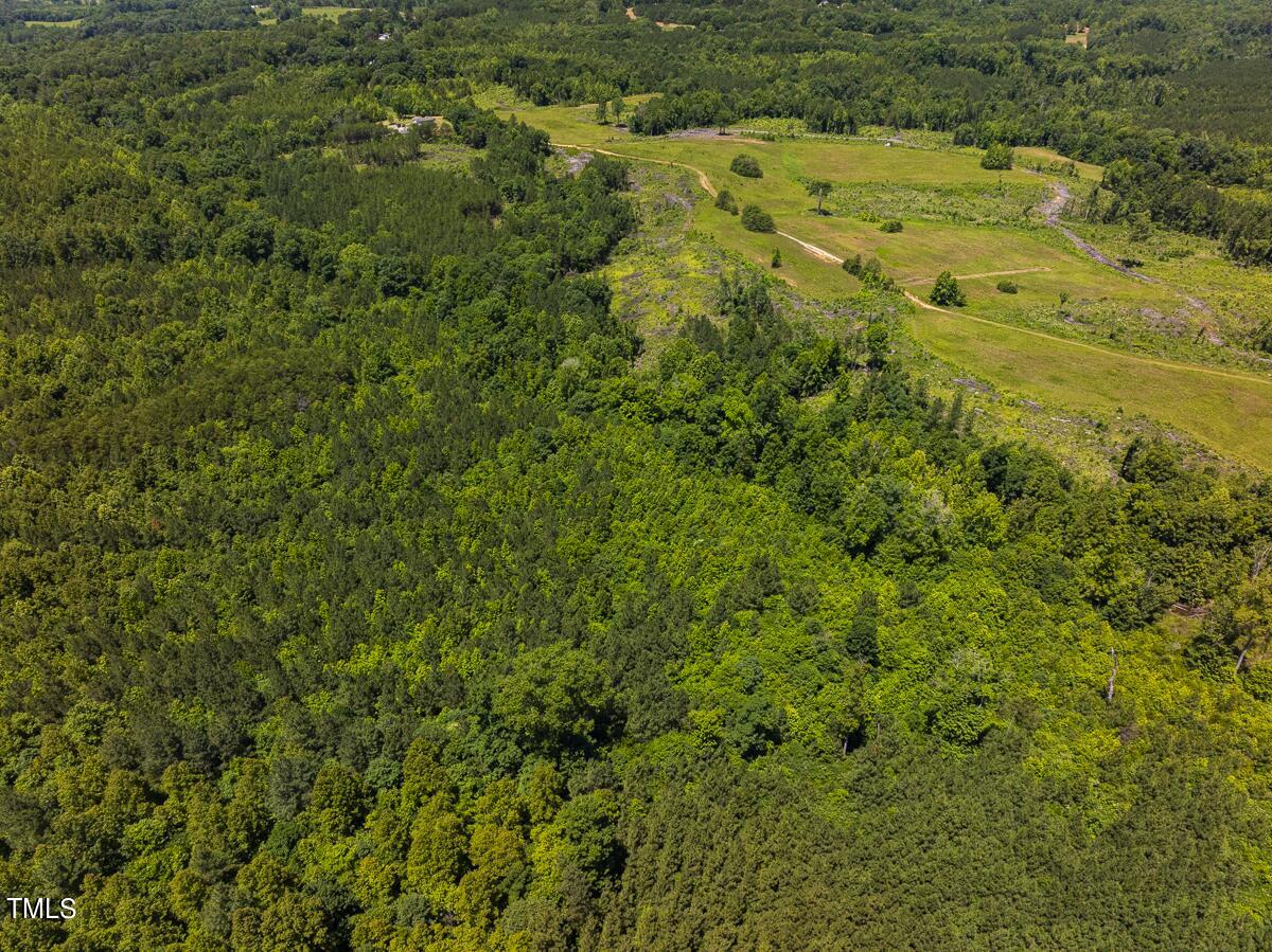 Lot-8-00 Wilson Road Providence, NC 27315 - Photo 44 of 45 Caswell Co. NC 16.55-Backwoods-Lot 8-44