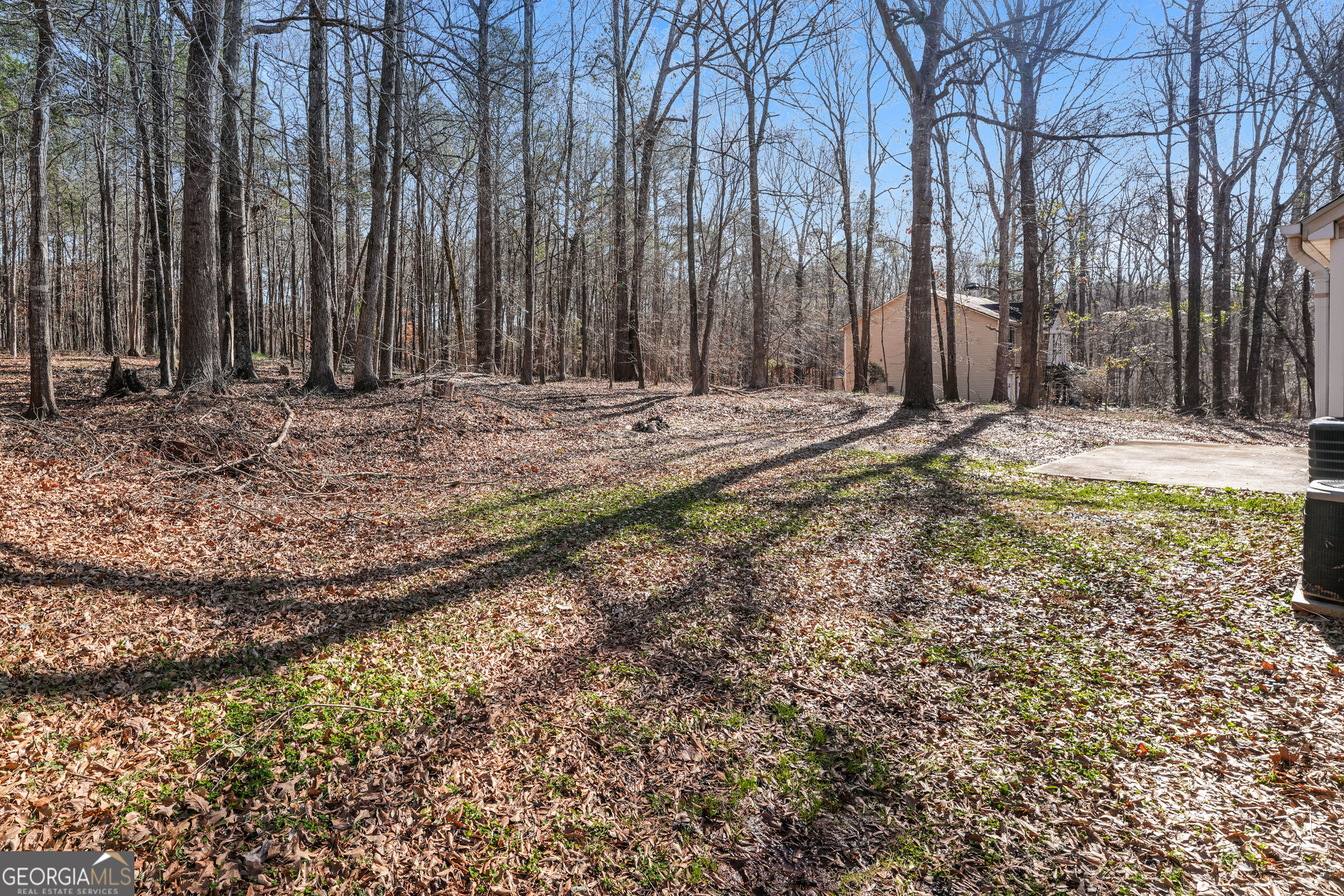 310 Alcovy Way Covington, GA 30014 - Photo 21 of 22 a view of a backyard with large trees