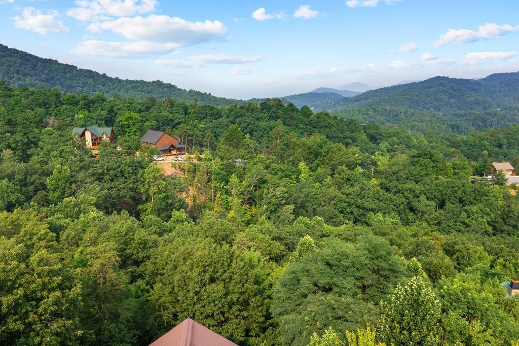 3256 Grouse Ridge Lane Sevierville, TN 37862 - Photo 61 of 63 Gallery Image 61