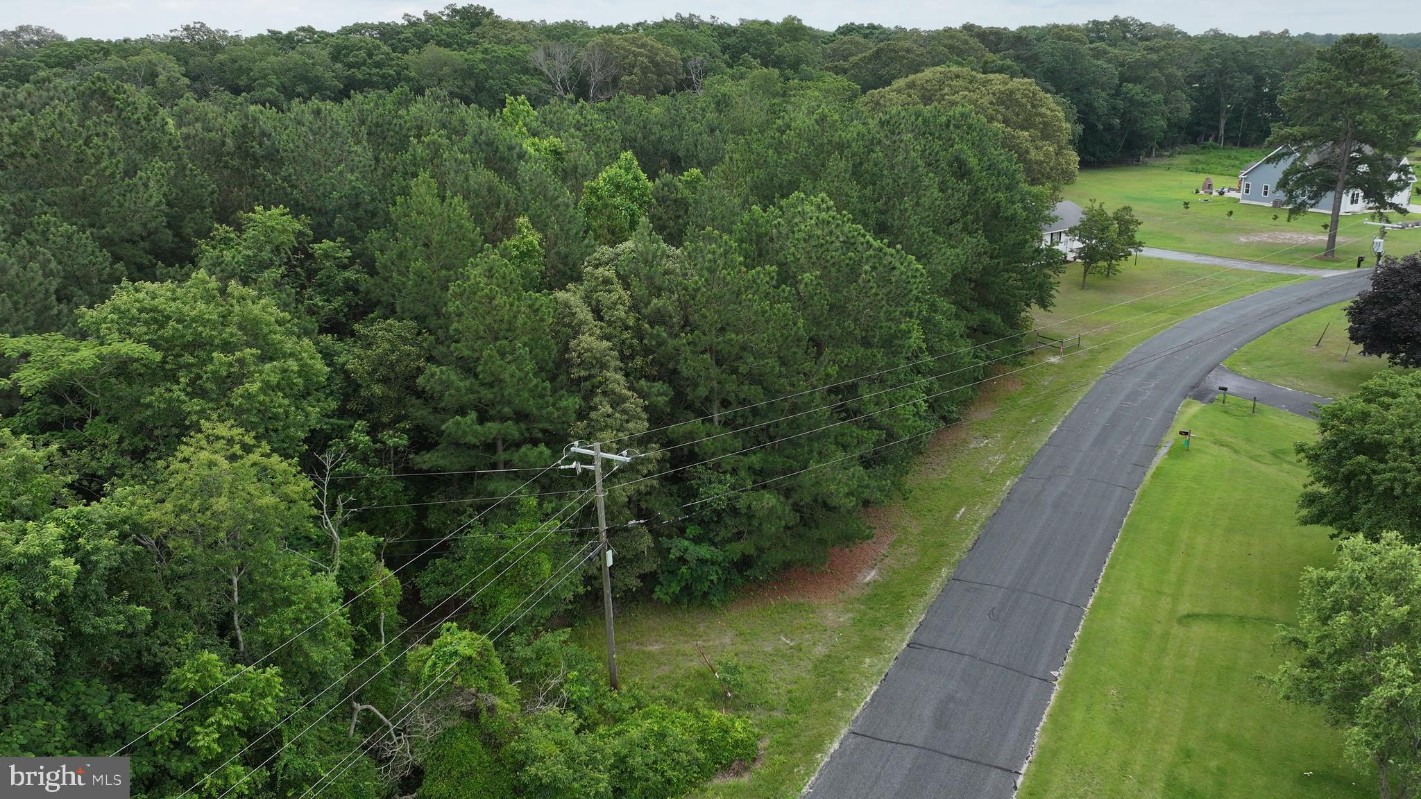 0 Helms Landing Road Dagsboro, DE 19939 - Photo 5 of 10 a view of a garden with a lot of trees
