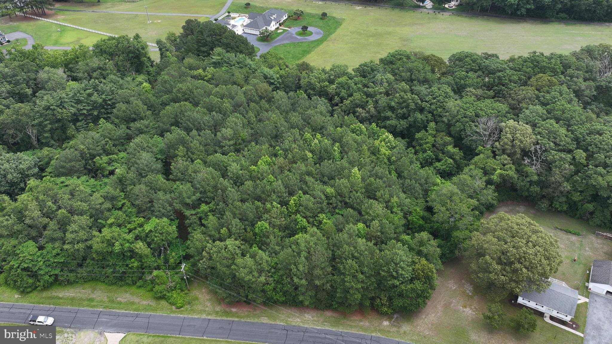 0 Helms Landing Road Dagsboro, DE 19939 - Photo 10 of 10 an aerial view of a houses with a yard