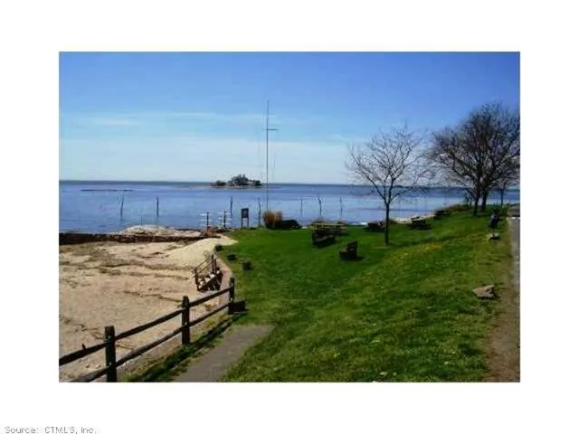 a black and white photo of a park