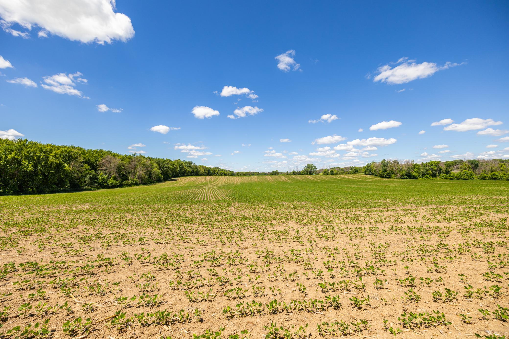 Tbd Base Line Road Northfield, MN 55057 - Photo 34 of 51