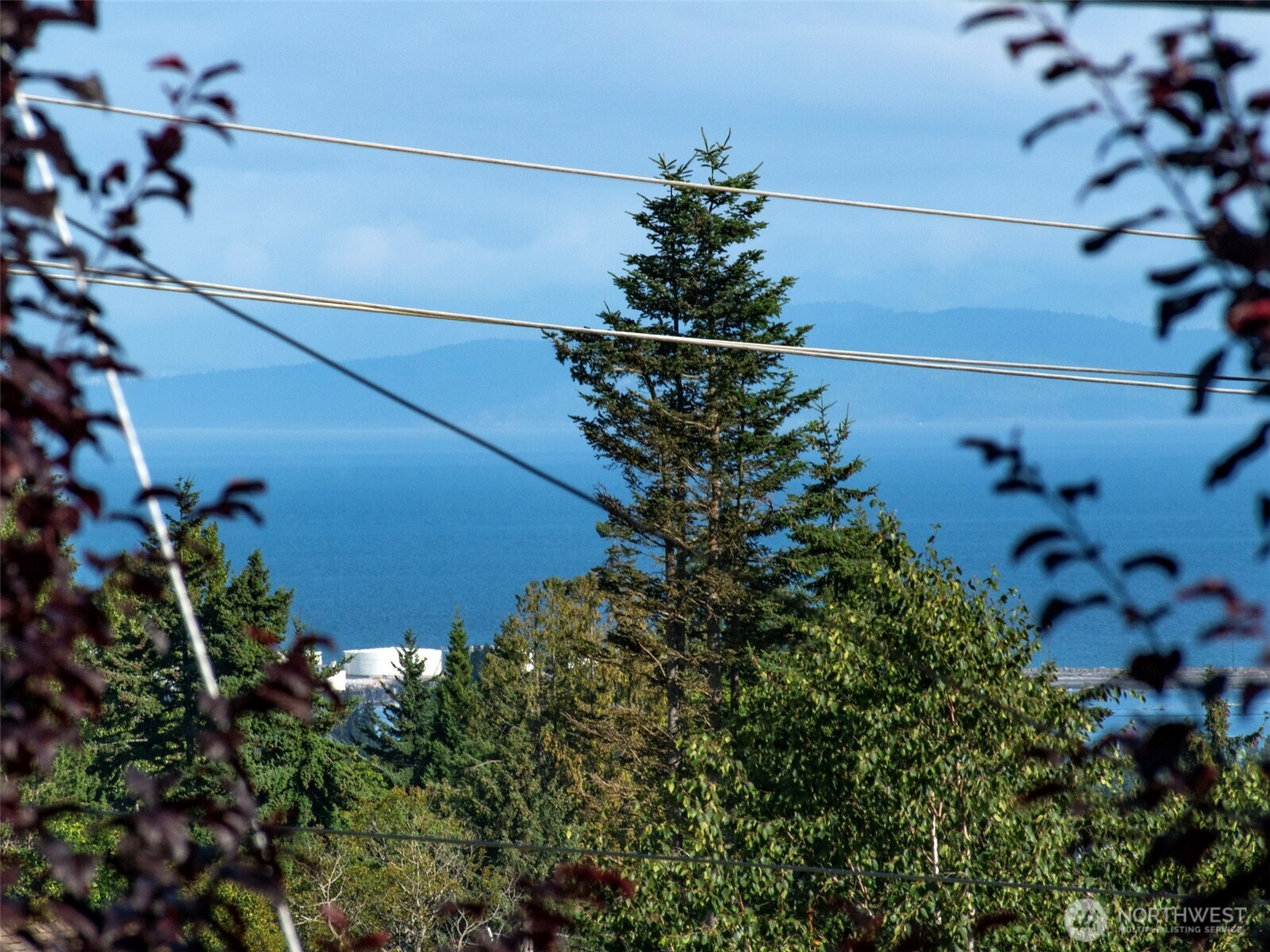 1212 Craig Avenue, Unit 3 Port Angeles, WA 98362 - Photo 9 of 38