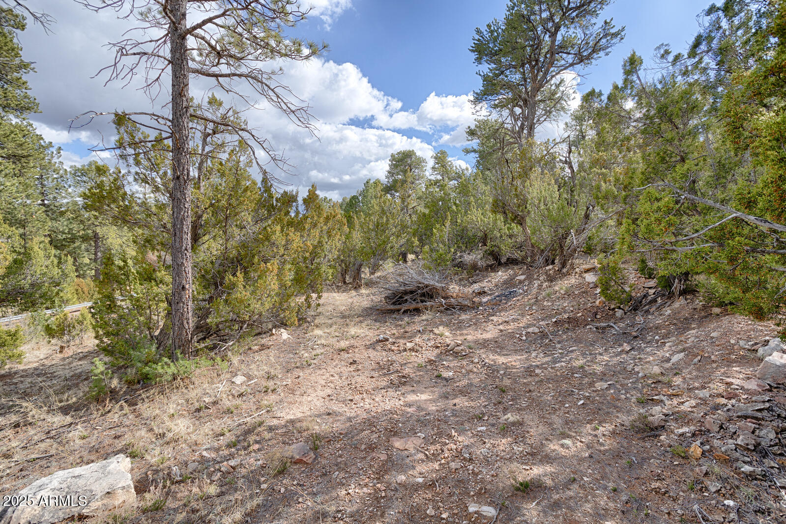 3360 Stone Bridge Trail, Unit 3 Heber, AZ 85928 - Photo 4 of 5 a view of a forest with trees