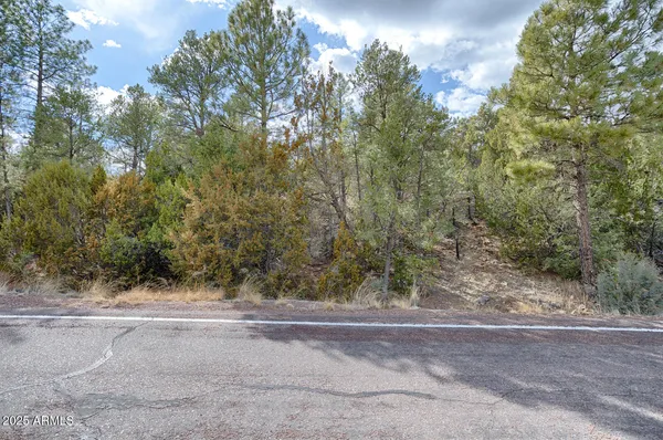 $100,000 | 3360 Stone Bridge Trail, Unit 3, Heber, AZ 85928