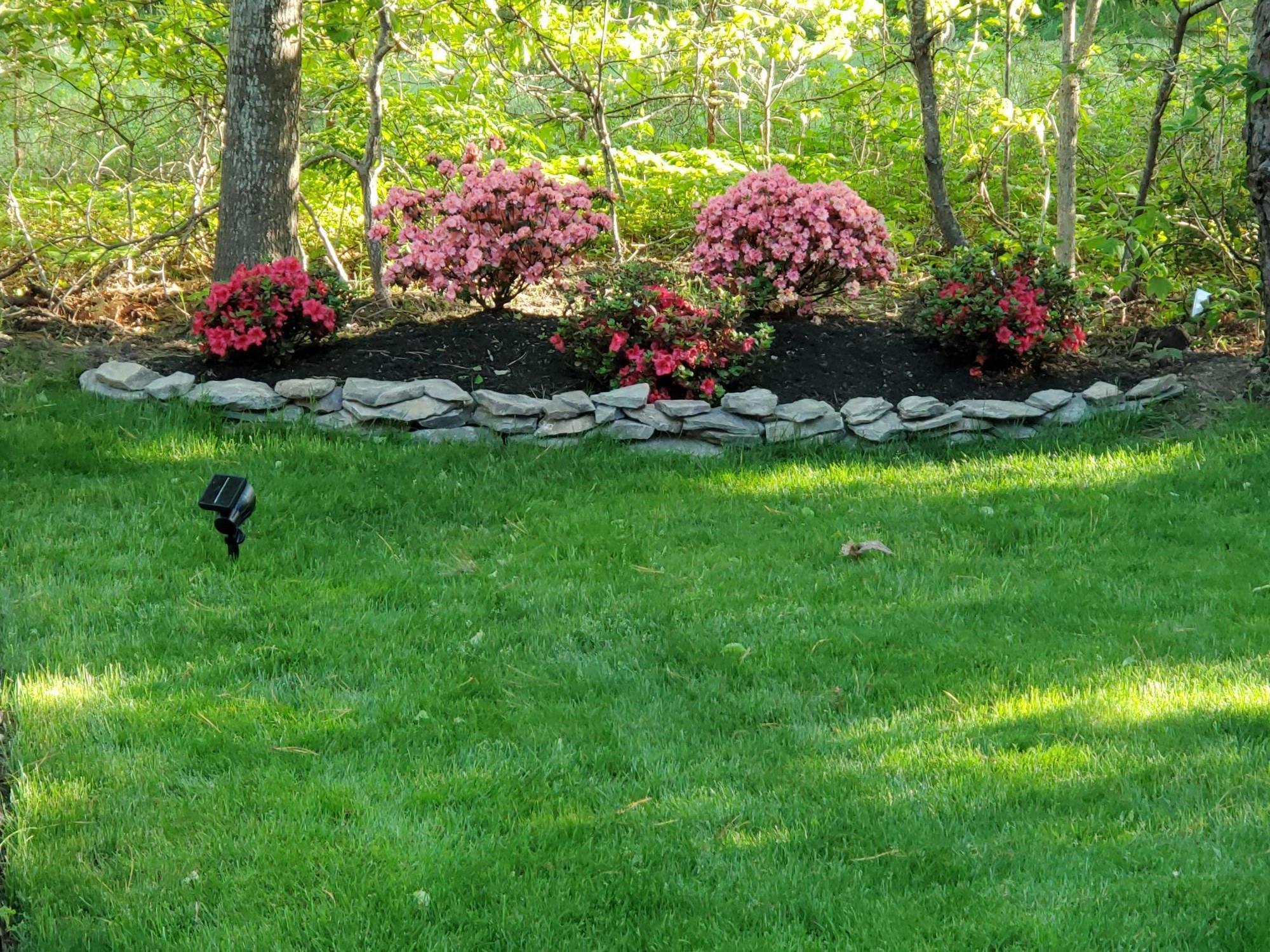 9 Bunker Circle Sandwich, MA 02563 - Photo 31 of 39 20200530_182150