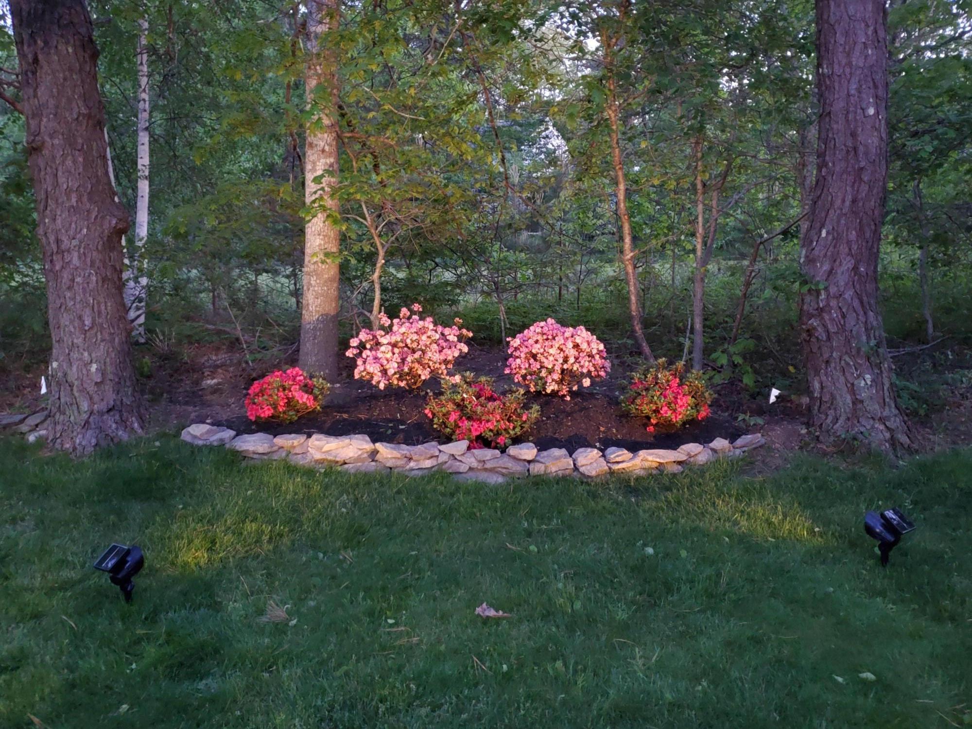 9 Bunker Circle Sandwich, MA 02563 - Photo 32 of 39 20200530_202757