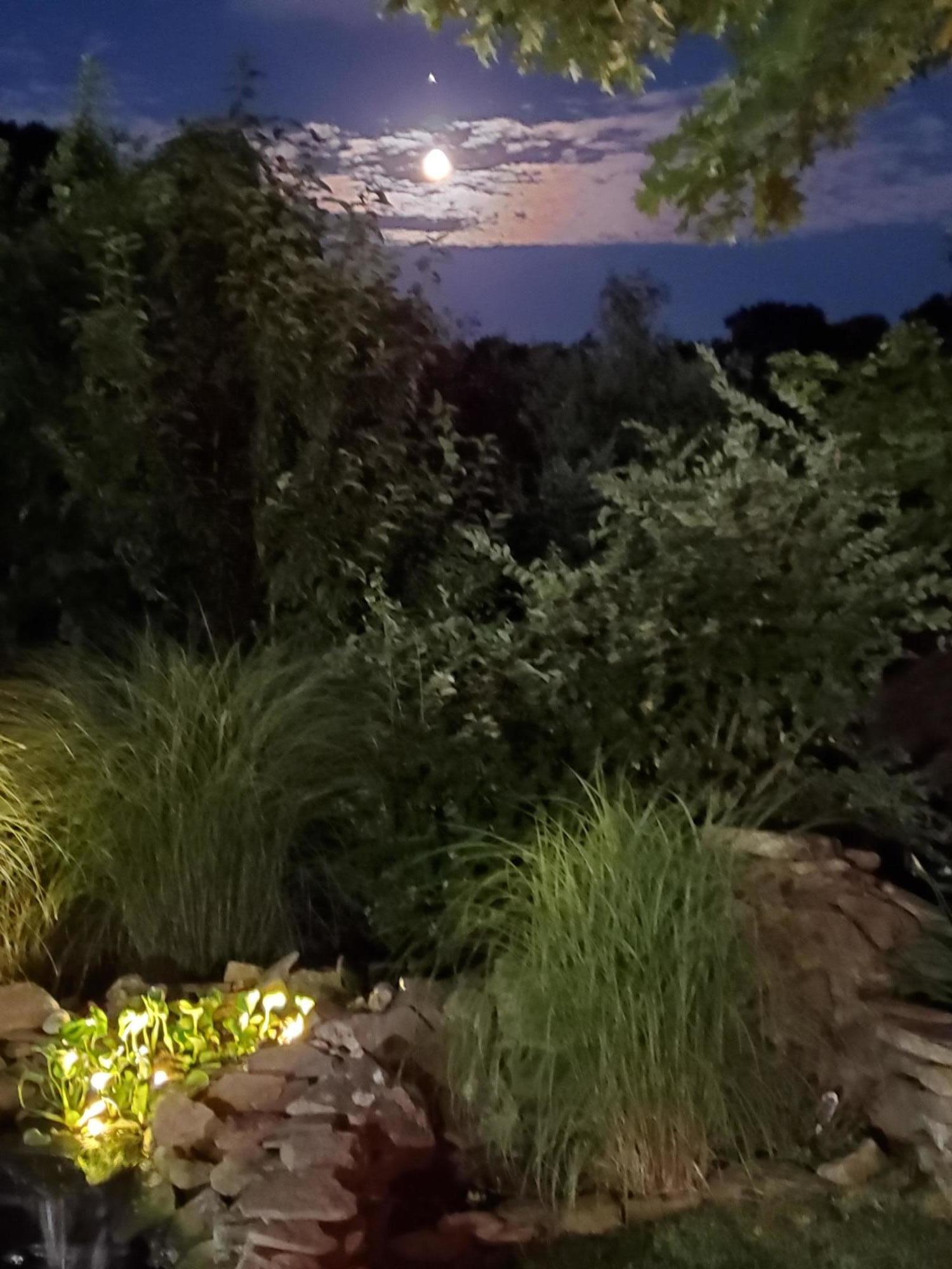 9 Bunker Circle Sandwich, MA 02563 - Photo 33 of 39 20200801_205311