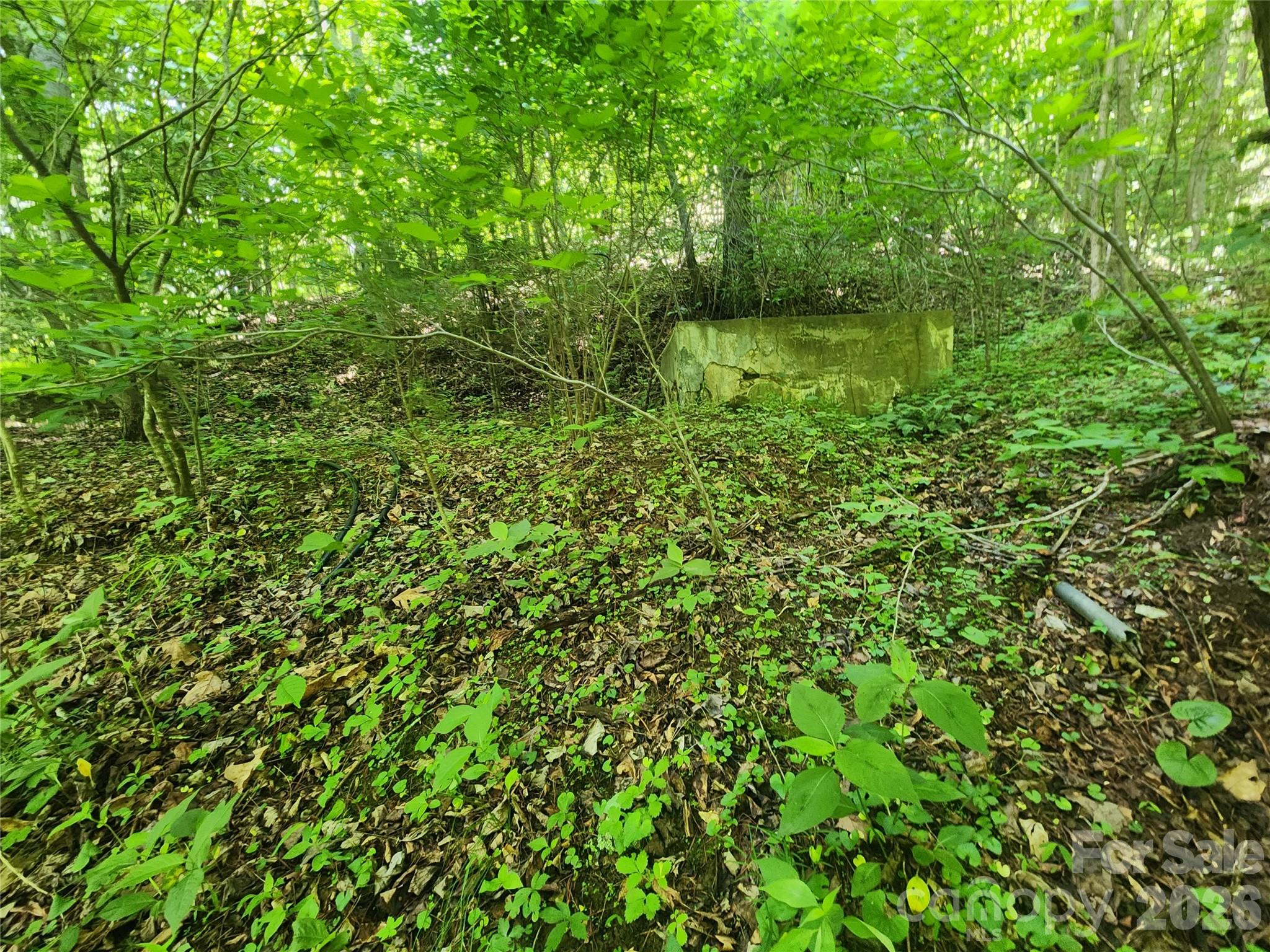 789 Jarrett Cove Road Marshall, NC 28753 - Photo 40 of 41