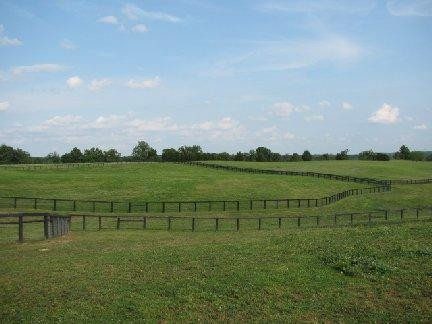 970 Hifner Road Versailles, KY 40383 - Photo 7 of 24 Photo 7