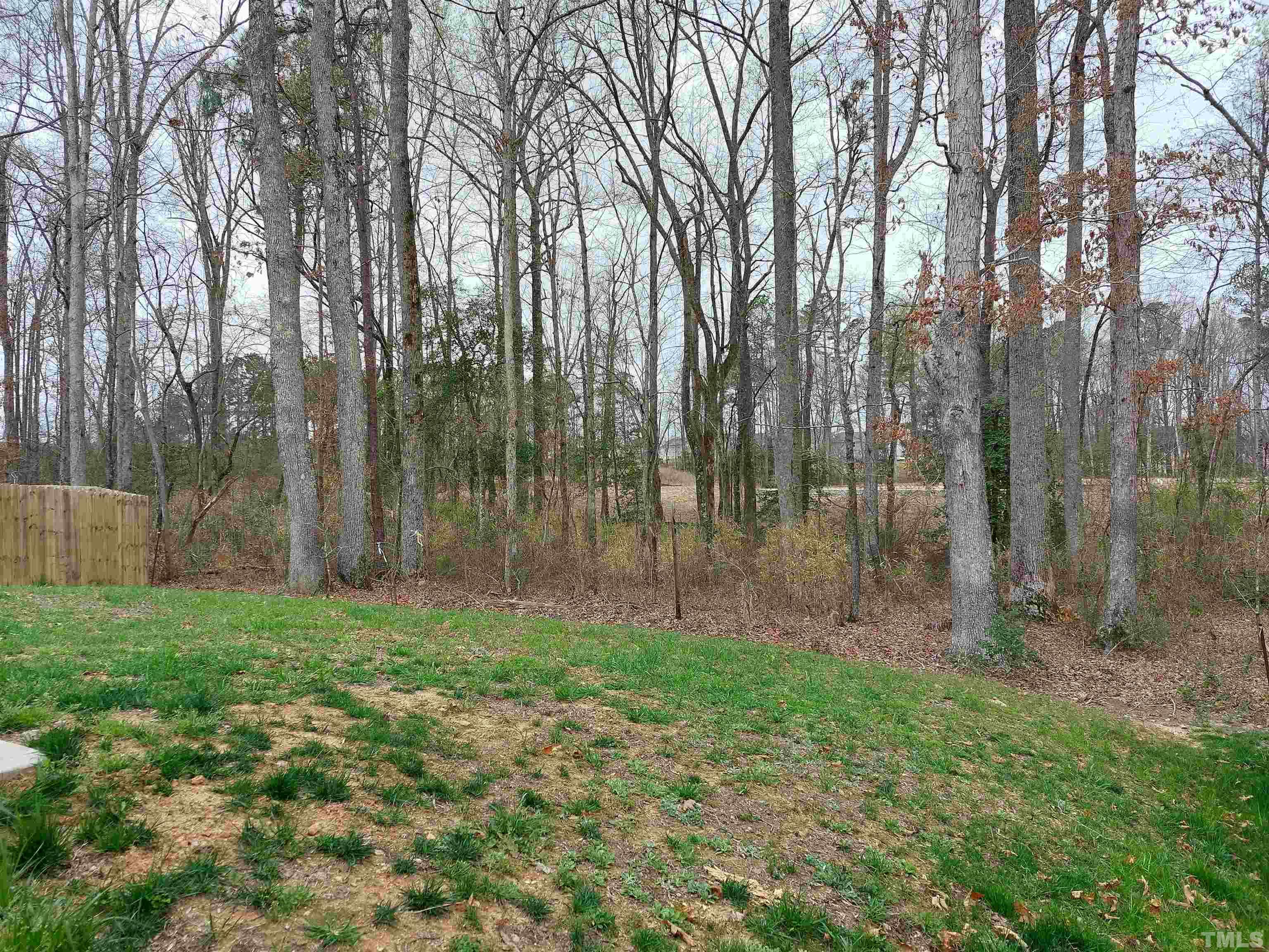 320 Rustling Way Zebulon, NC 27597 - Photo 3 of 23