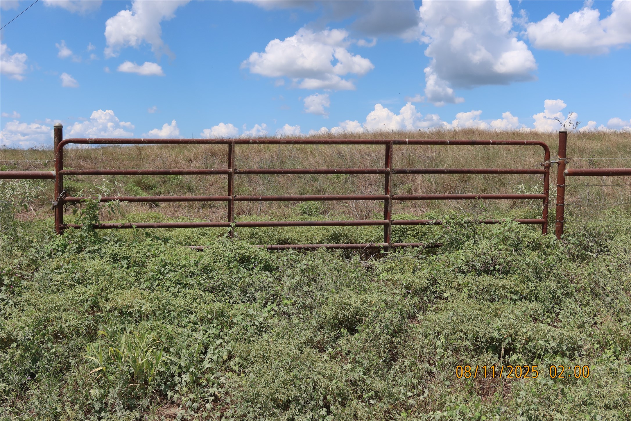 0 Sempronius Road Chappell Hill, TX 77426 - Photo 17 of 25