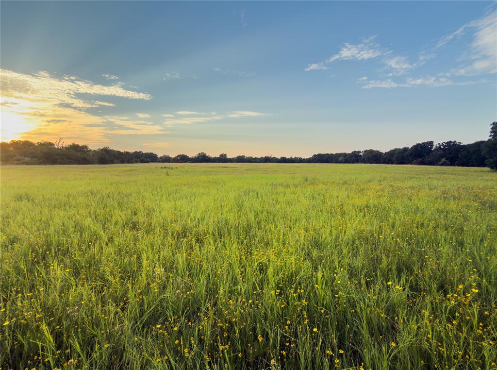 Lot 7 Wilson Road Waco, TX 76705 - Photo 4 of 9 Gallery Image 4