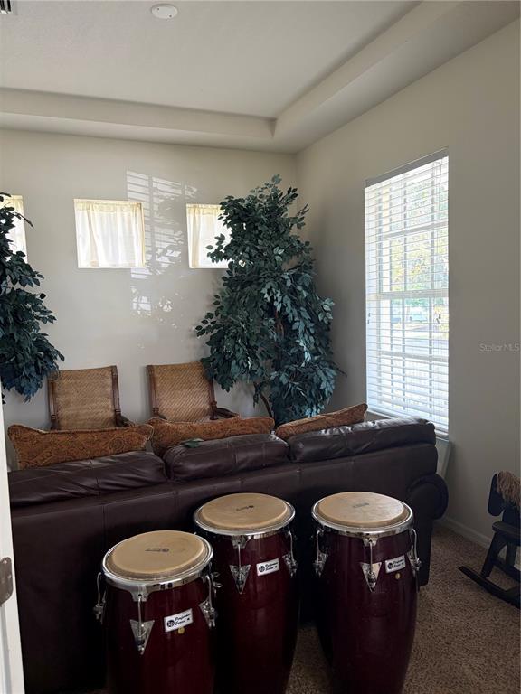 10505 Fenceline Road New Port Richey, FL 34655 - Photo 5 of 21 Gallery Image 5