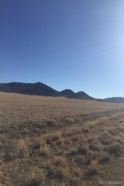 8871 Larimer Road Hartsel, CO 80449 - Photo 3 of 13