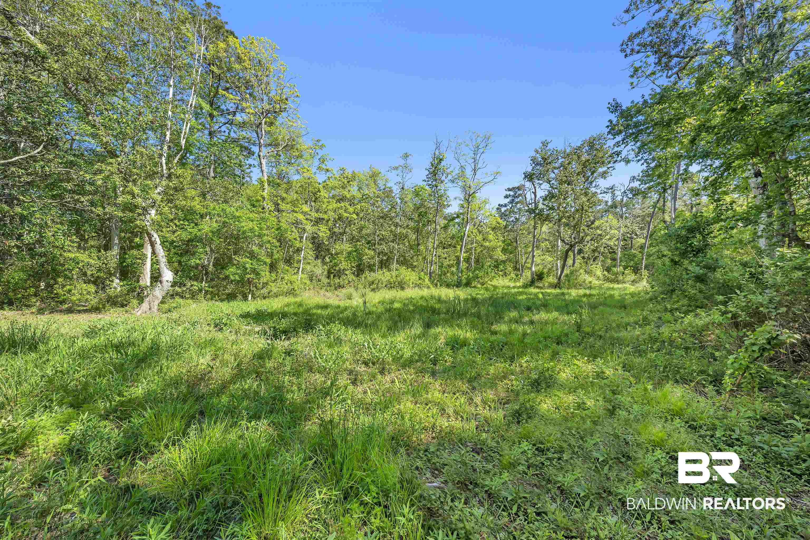 19058 James Road Gulf Shores, AL 36542 - Photo 43 of 49 View of local wilderness