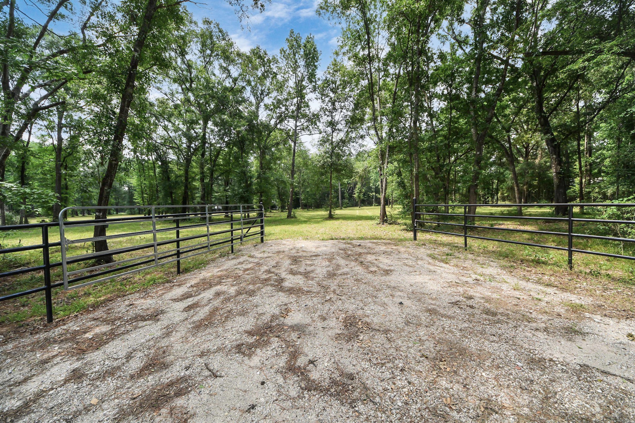 21765 Bailey Grove Road Montgomery, TX 77356 - Photo 18 of 27 a view of park with trees