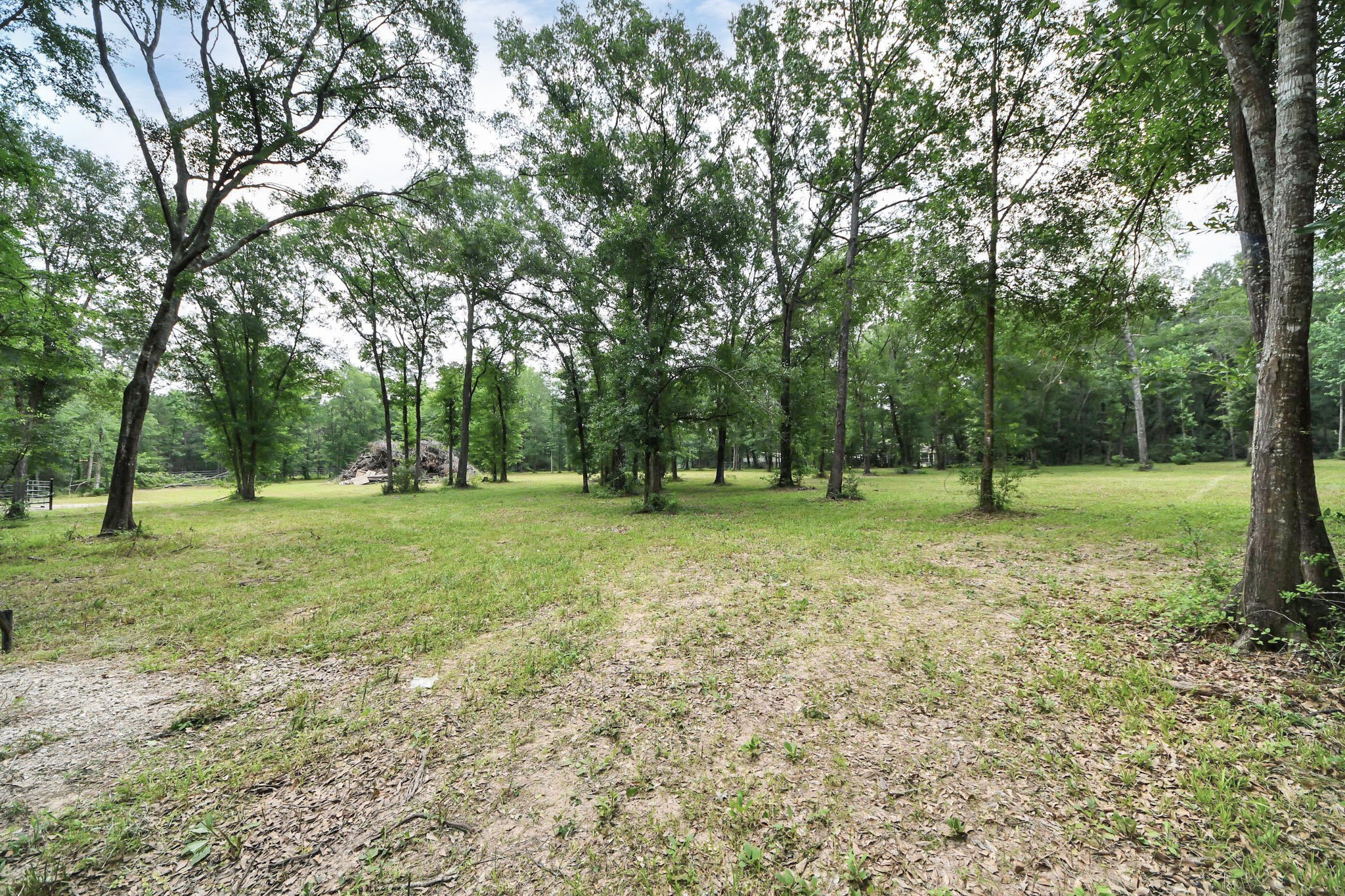 21765 Bailey Grove Road Montgomery, TX 77356 - Photo 20 of 27 a view of outdoor space with trees all around