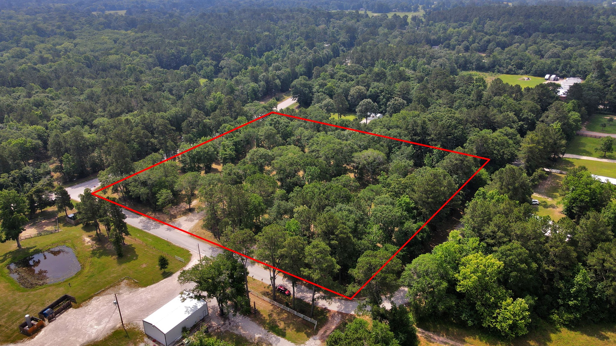 21765 Bailey Grove Road Montgomery, TX 77356 - Photo 2 of 27 an outdoor space with lots of flower plants