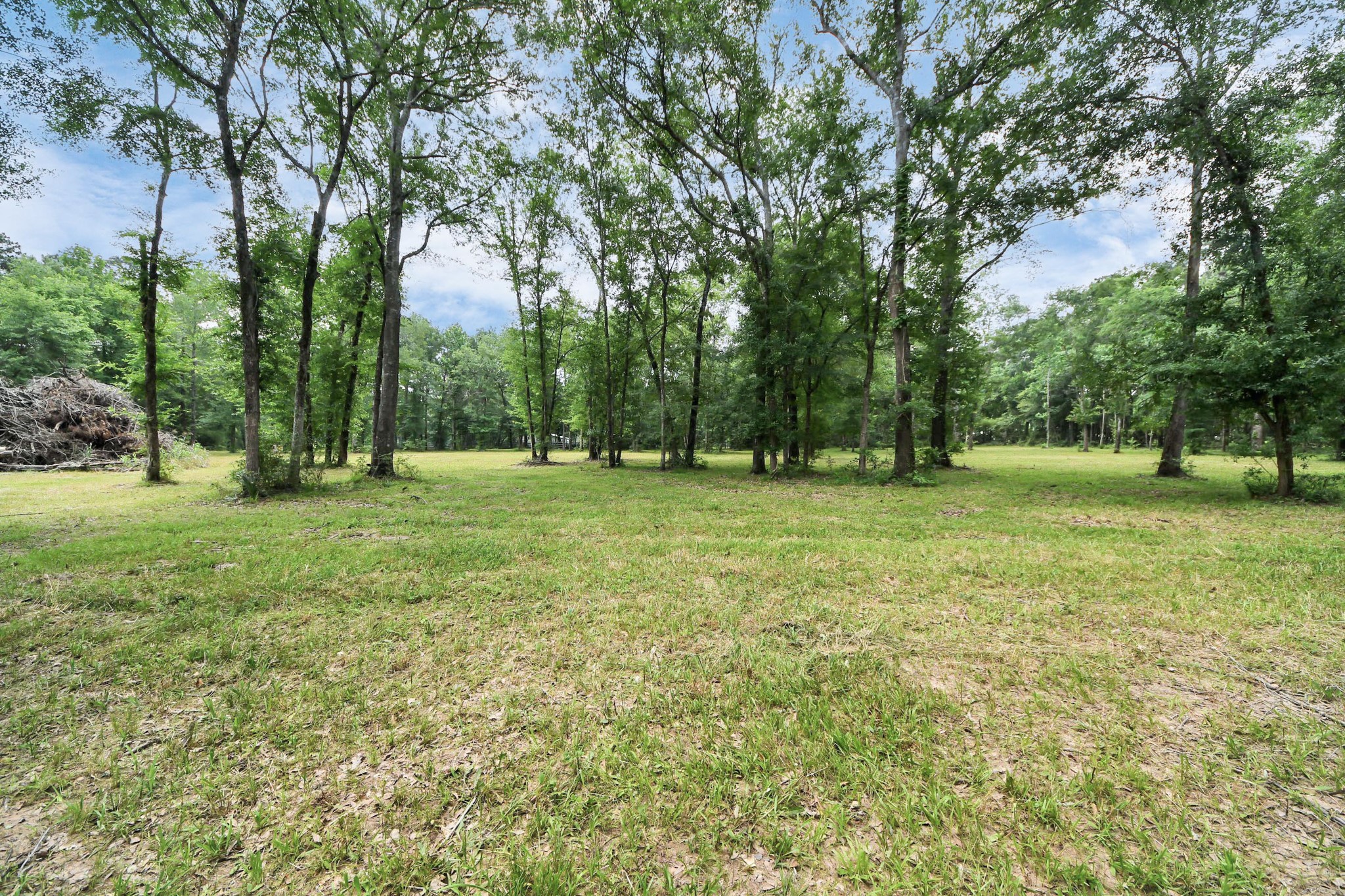 21765 Bailey Grove Road Montgomery, TX 77356 - Photo 21 of 27 a view of outdoor space with trees all around