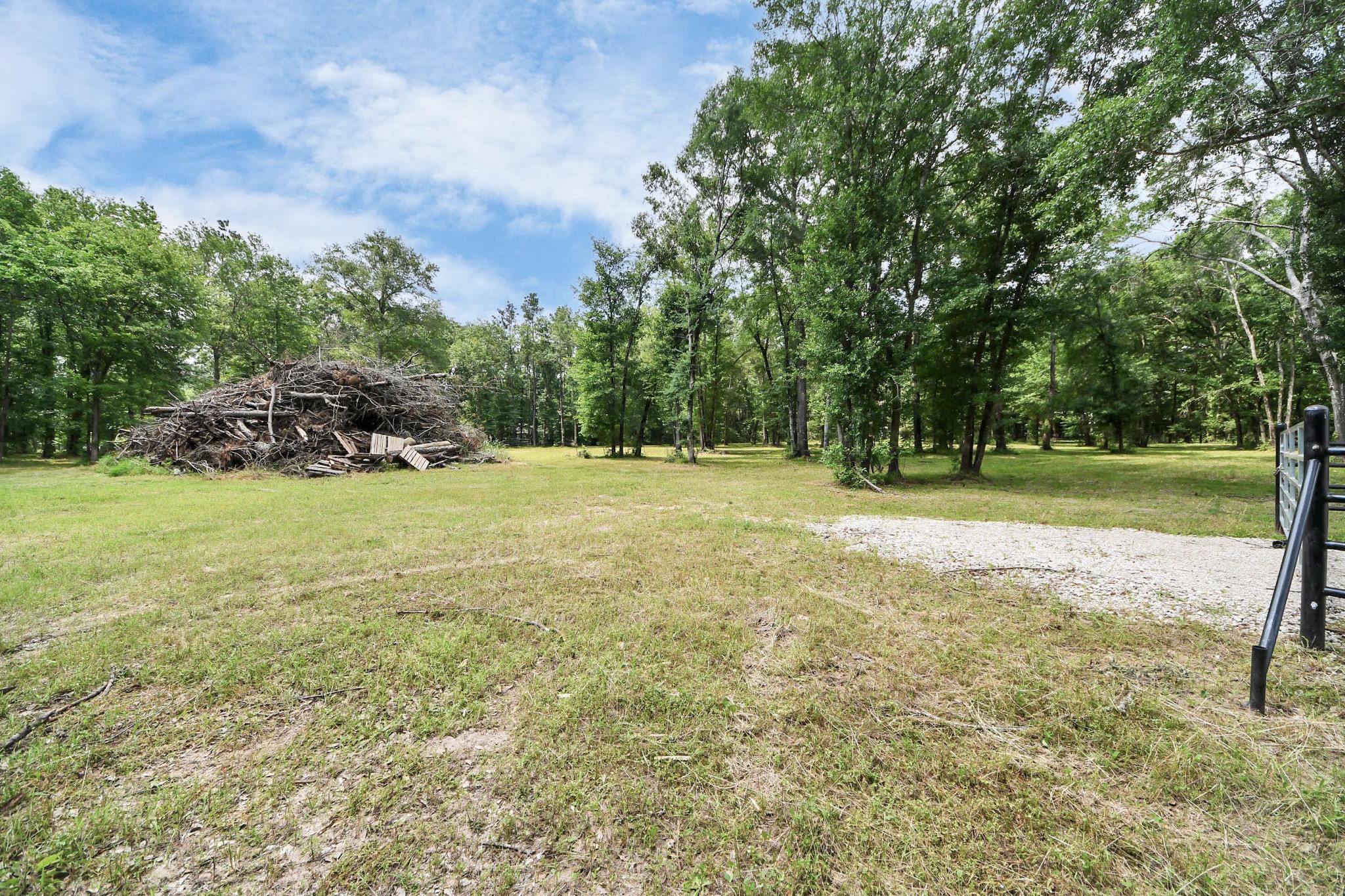 21765 Bailey Grove Road Montgomery, TX 77356 - Photo 23 of 27 a view of a field with trees in the background