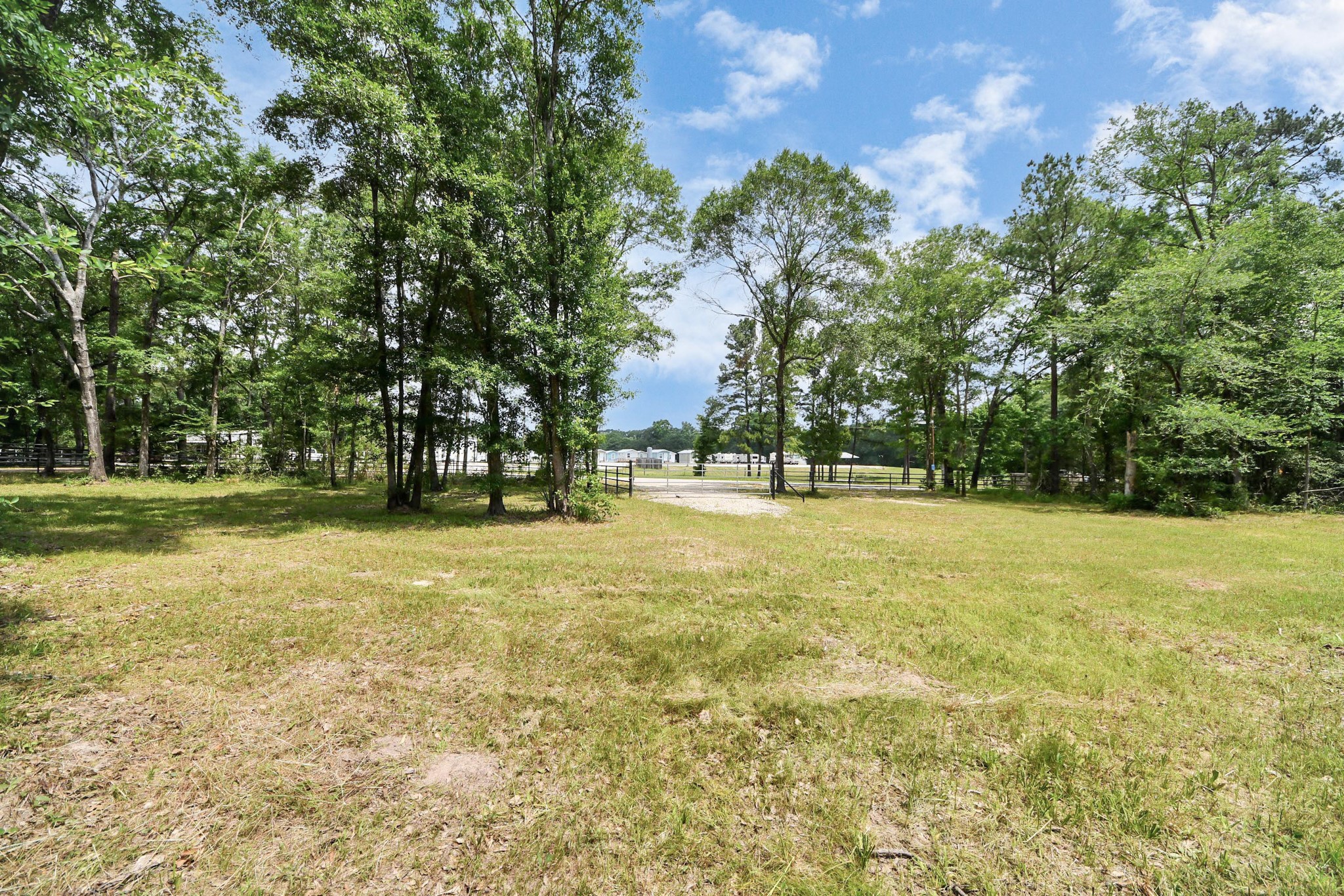 21765 Bailey Grove Road Montgomery, TX 77356 - Photo 24 of 27 a view of yard with trees