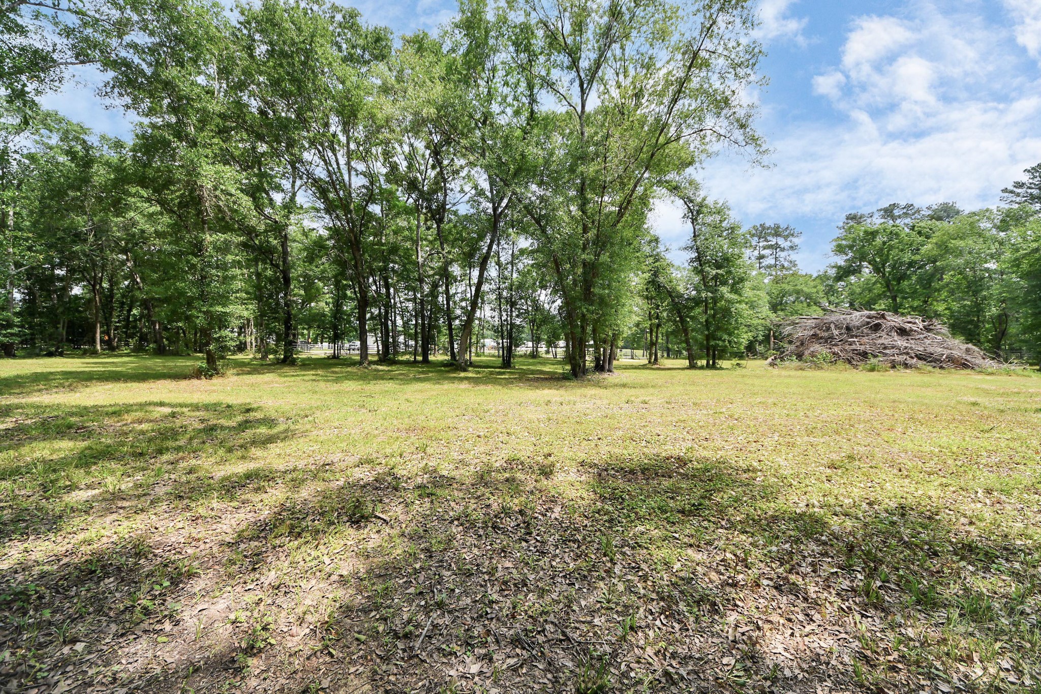 21765 Bailey Grove Road Montgomery, TX 77356 - Photo 25 of 27 a view of outdoor space with garden and trees
