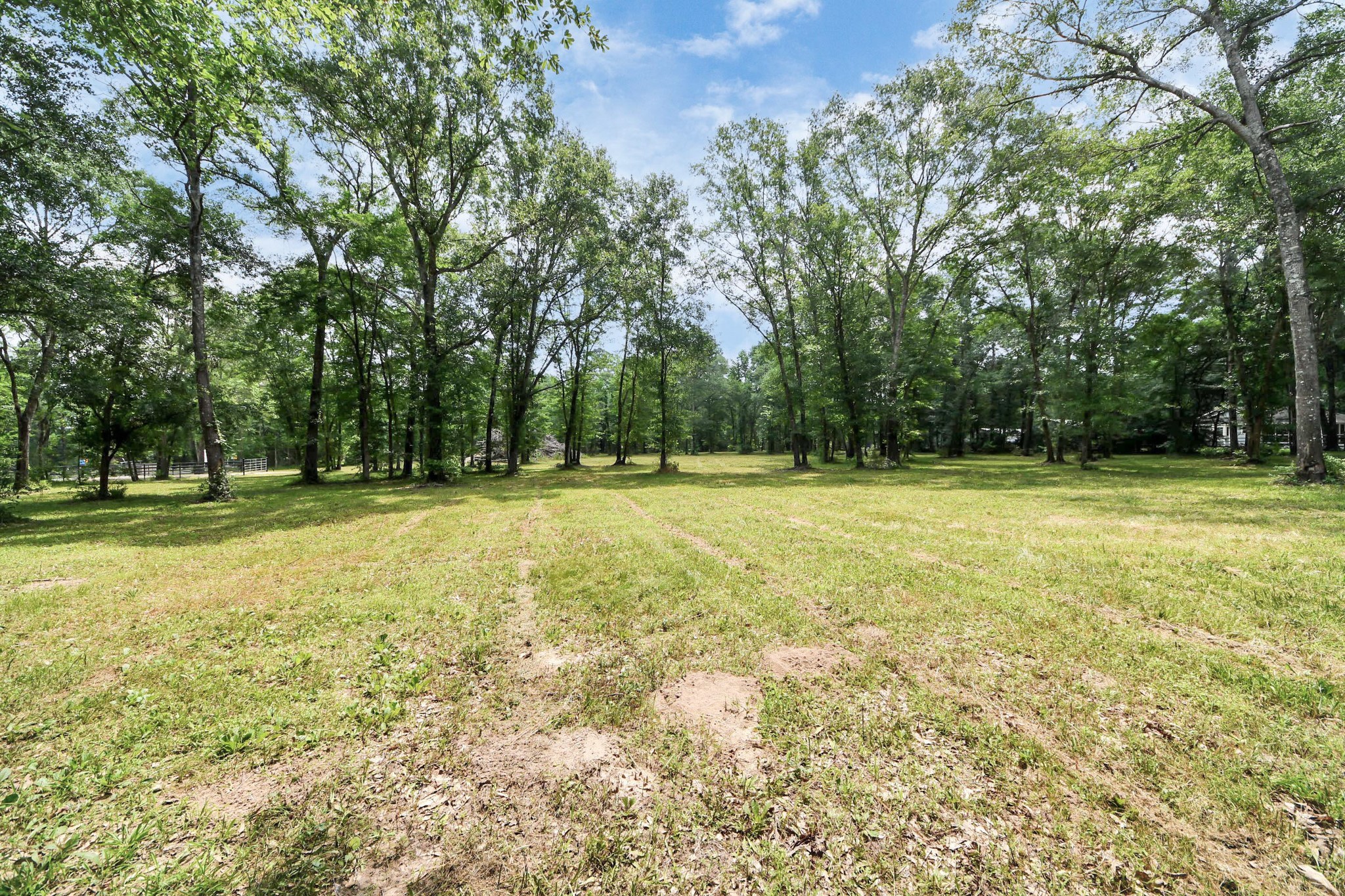 21765 Bailey Grove Road Montgomery, TX 77356 - Photo 26 of 27 a view of outdoor space with trees all around