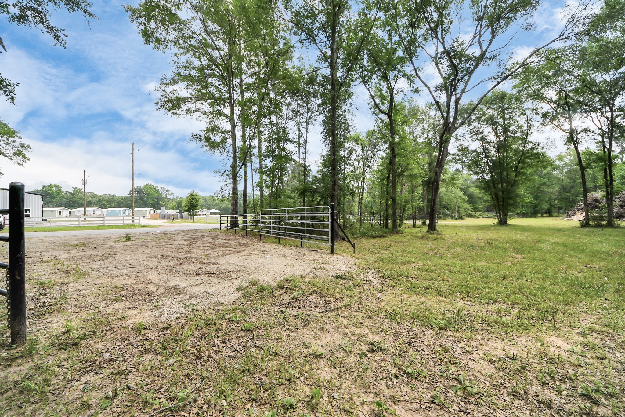 21765 Bailey Grove Road Montgomery, TX 77356 - Photo 27 of 27 a view of outdoor space with trees all around