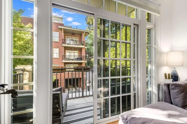 a view of a park with large trees