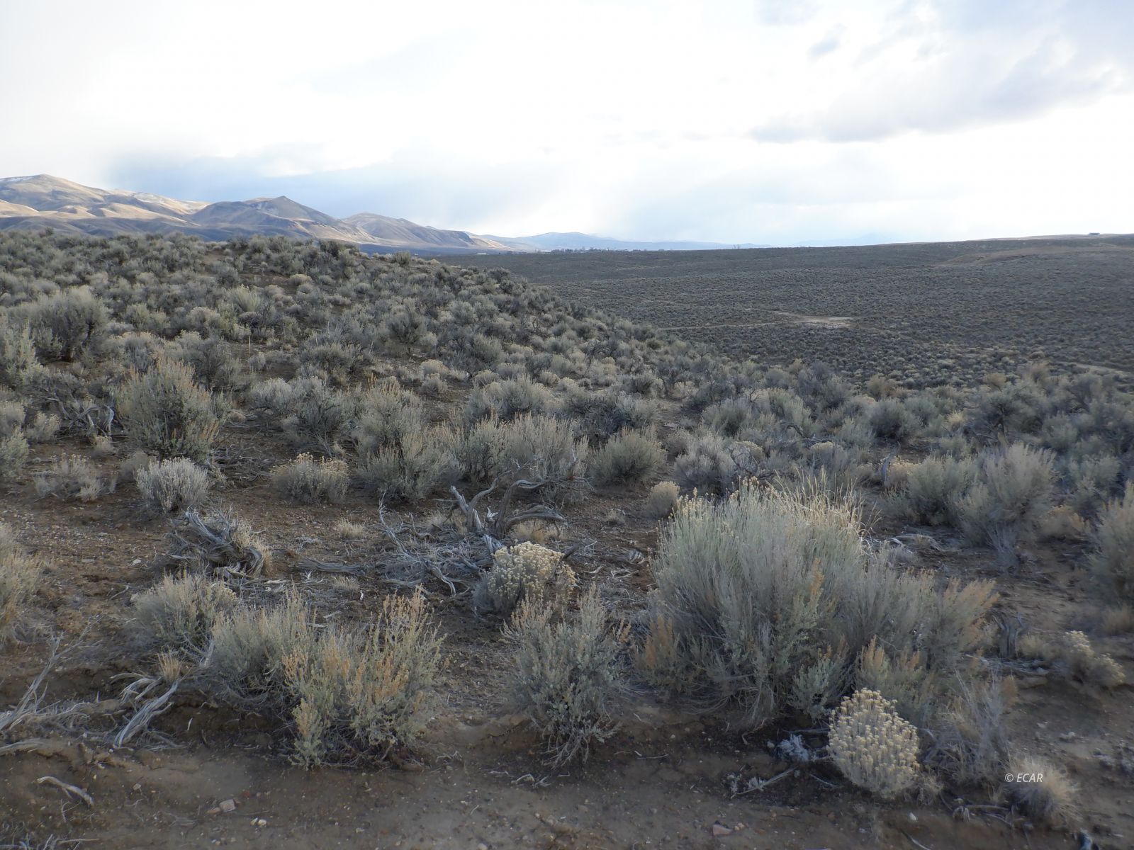 33-3 7th Street Elko, NV 89801 - Photo 3 of 15