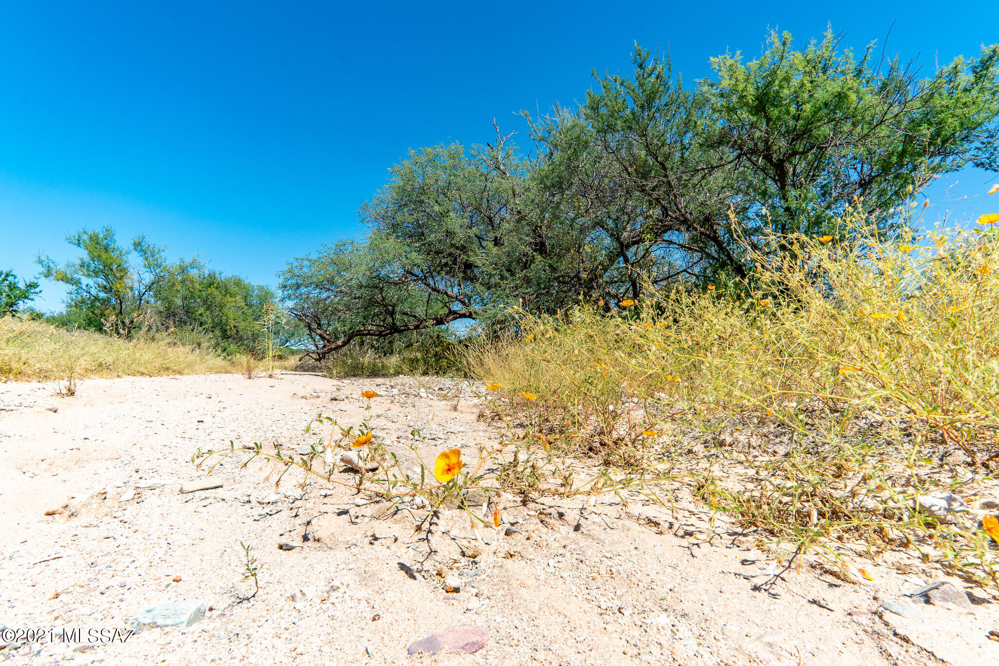 0 North San Pedro Ranch Road Benson, AZ 85602 - Photo 6 of 24 Gallery Image 6
